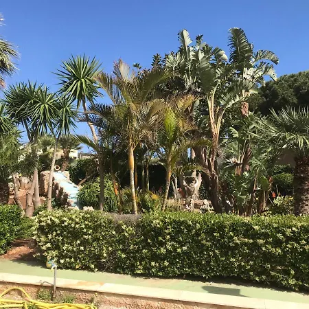 Le Palme Tropicali * San Vito Lo Capo